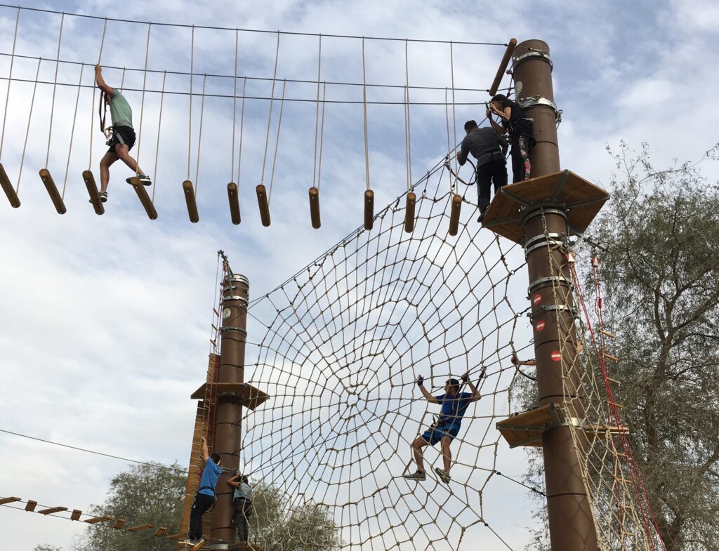 D-The Spiderweb mixer
